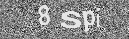 Verification image
